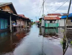 Banjir Melanda Satu Kota Dan Lima Kabupaten di Kalimantan Tengah